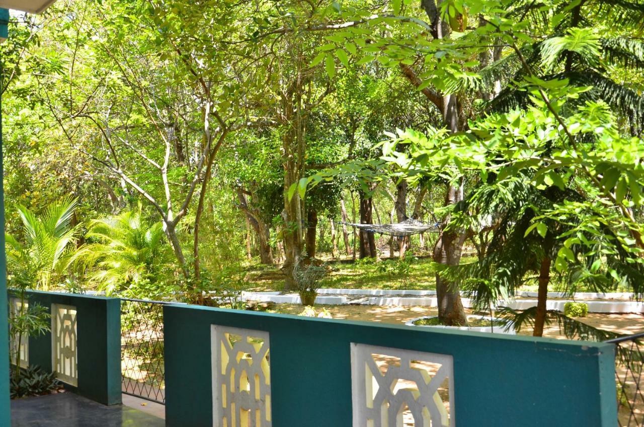 The Lion Rock Hotel Sigiriya Exterior photo